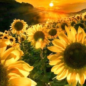 Meet your Posher, Kary